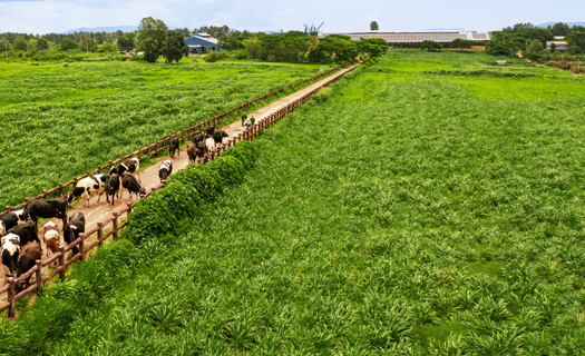 Người dân hưởng lợi gì khi doanh nghiệp làm 